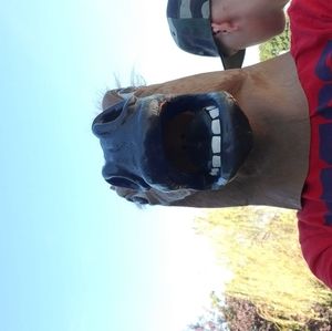 Meet your Posher, Alexander